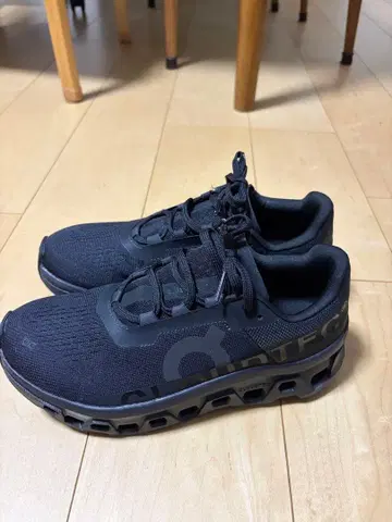 On Cloudmonster 1 JP26.5