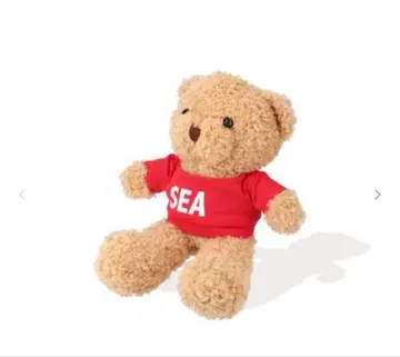 윈드앤씨 SEA TEDDY BEAR