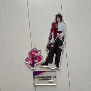 사카미치 시리즈 아크릴 스탠드 카린