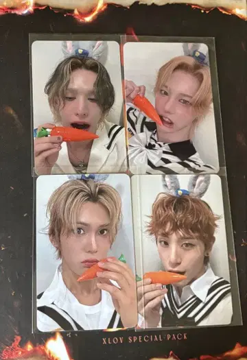 XLOV MINI RECORD 트레이딩 카드 4장 세트