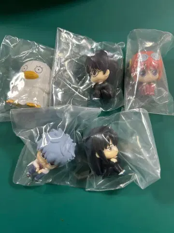 마치보케 긴파치 선생님 컴플리트 마치보케