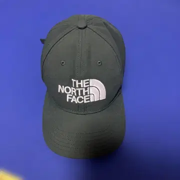 THE NORTH FACE 다크 그린 캡