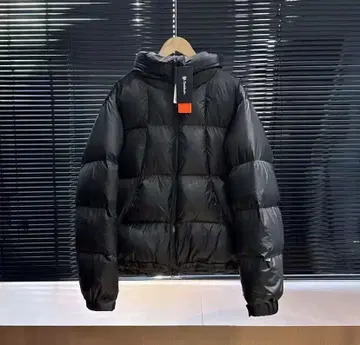 새상품 Goldwin 파텍스 퀀텀 다운 후드티