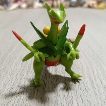 포켓몬스터 메가나무킹 몬코레