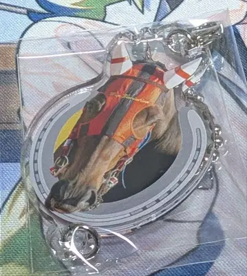 netkeiba 연결 아크릴 참 윈 배리어시온