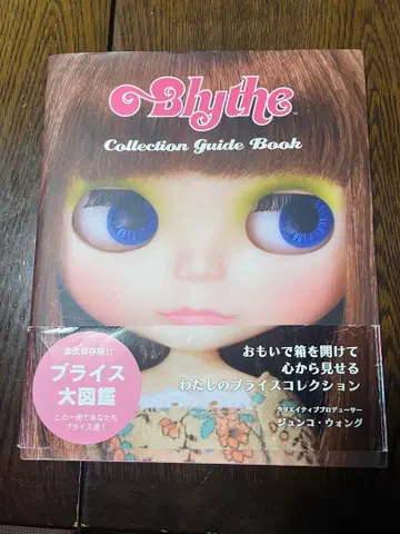 브라이스 컬렉션 가이드북