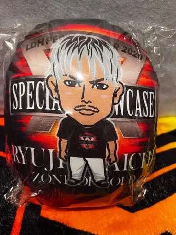 이마이치 류지 쿠션 4