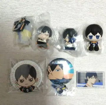 하이큐!! 카게야마 토비오 세트