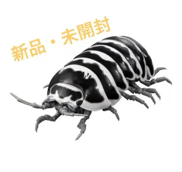 새상품 제브라 댄 고무벌레 캡슐판 한정판 생물대도감 어드밴스