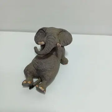 아사쿠마 토시오 베스트 셀렉션 대지 코끼리 레어템 단종