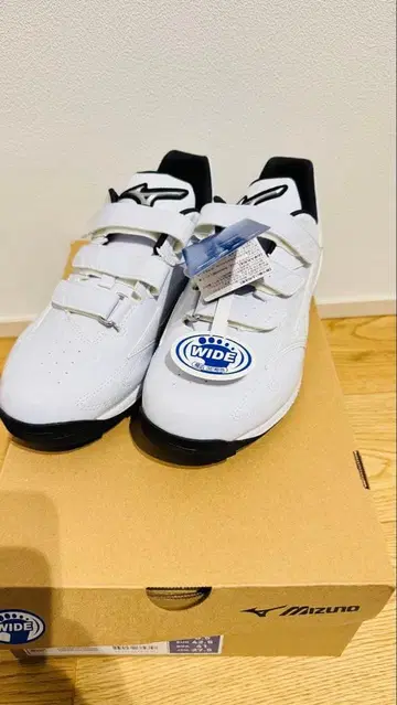 업 슈즈 [ 미즈노 27.5cm ]