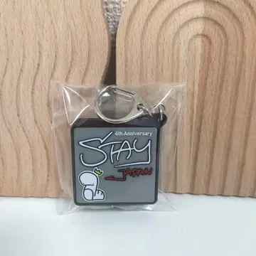 straykids 보이스 키링 방찬