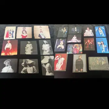 여왕벌 꿀벌 놀이 낱개 판매 가능