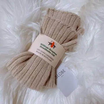 William Brunton 암워머