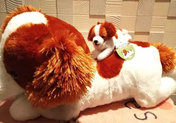 코이켈 혼디에의 이마짱 대와 소 2세트 [ 30 ]