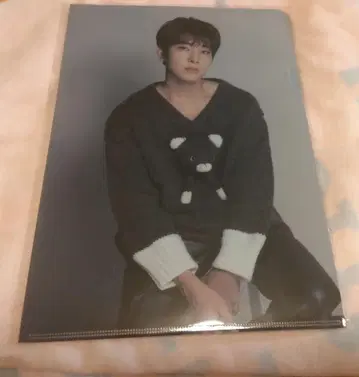 세븐틴 DFESTA 원우 클리어 파일