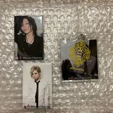 Acid Black Cherry 혜택 캔뱃지 키링