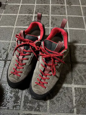 갈몬트 드래곤테일 GTX 트레킹 어프로치 신발 26.5