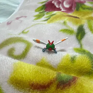 [얀얀마] 포켓몬스터 몬스터 컬렉션 몽코레