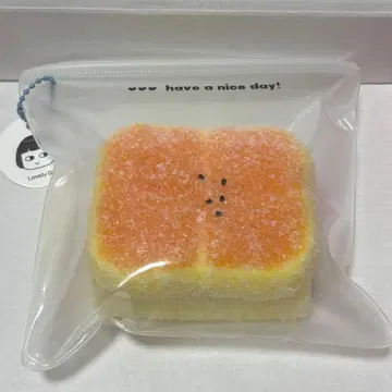 DIYladodo 폭신폭신 빵 가루 묻은 말랑말랑 파우치 스퀴즈 리얼