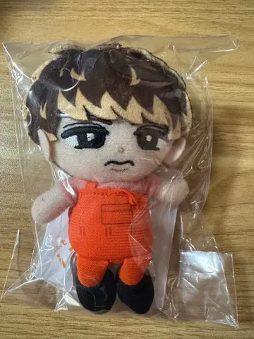 SnowMan 스노치루 봉제 인형 무카이 코지