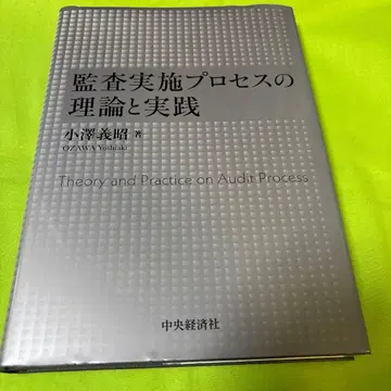 감사 실시 프로세스의 이론과 실무