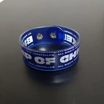 BUMP OF CHICKEN 로고 러버 밴드