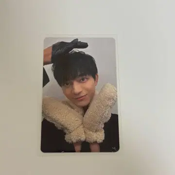 요시자와 요토 토리아이코 트레이딩 카드