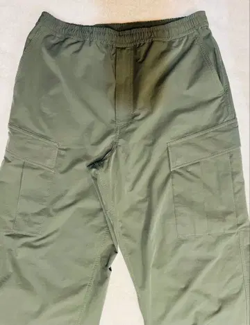 DAIWA PIER39 카고 팬츠