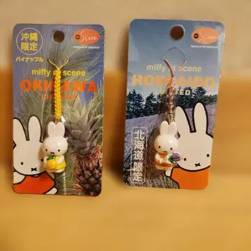miffy 족자 오키나와 홋카이도 한정 키링 세트