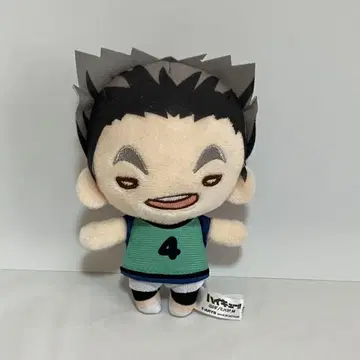 하이큐 보쿠토 코타로 니토탄 비브스