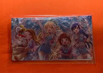 투어 마스터 카드 홀더