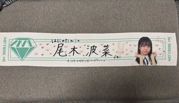 노이메 꼬기 하 나 초기 타월