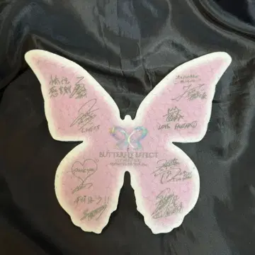 FANTASTICS 라이브 낙하물 나비