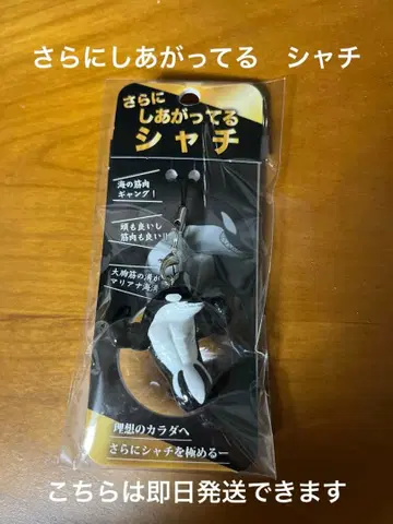 더욱 완성된 범고래 키링 이와모토 테루 해당 상품은 당일 발송 가능합니다