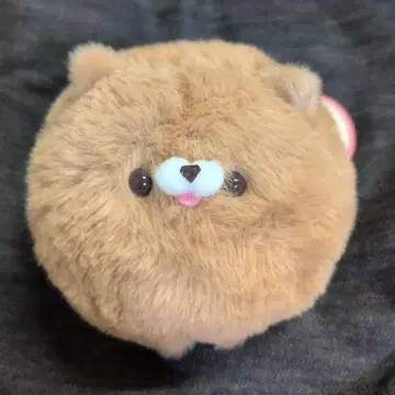 미사용 새상품 말랑말랑! 포메라니안 챠챠마루