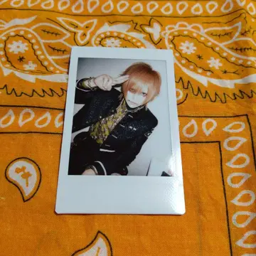 R 지정 마모 폴라로이드 신풍