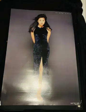 세토 아사카 포스터 B2 사이즈