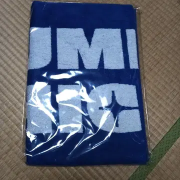 BUMP OF CHICKEN 로고 스포츠 타월