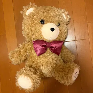 spi 2.5 배우 빌리지 뱅가드 오리지널 베어