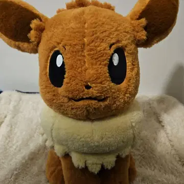 포켓몬 센터 한정판 클래식 보아 봉제 인형 이브이