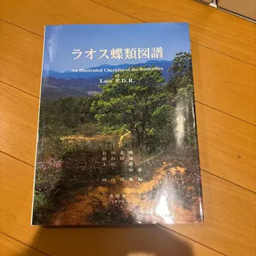 라오스 나비류 도보