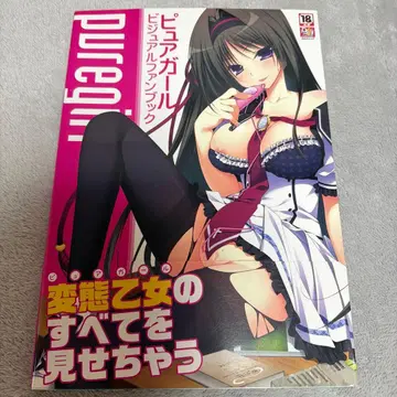 퓨어걸 비주얼 팬북