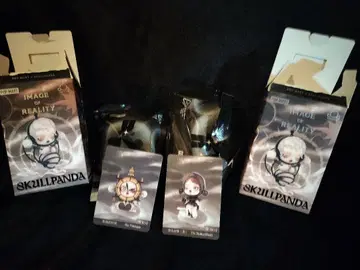 SKULLPANDA IMAGE OF REALITY