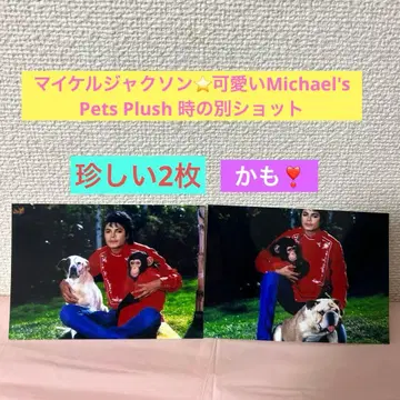 마이클 잭슨 귀여운 Michael's Pets Plush 사진
