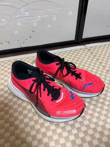 Puma 러닝화 레드