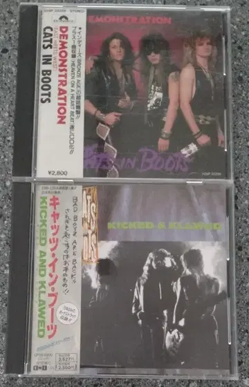 캣 인 부츠 x 2장 세트