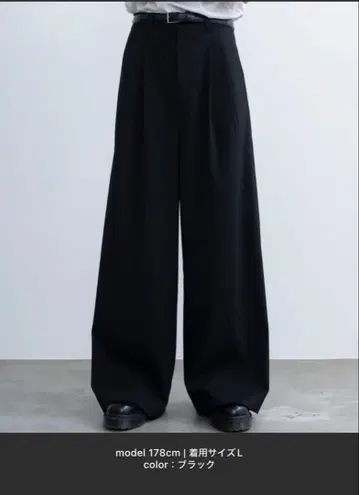 SINSS Twotuck wide straight stripeslacks