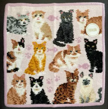 페이러 손수건 마이큐트키튼