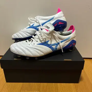 모렐리아 네오 4 재팬